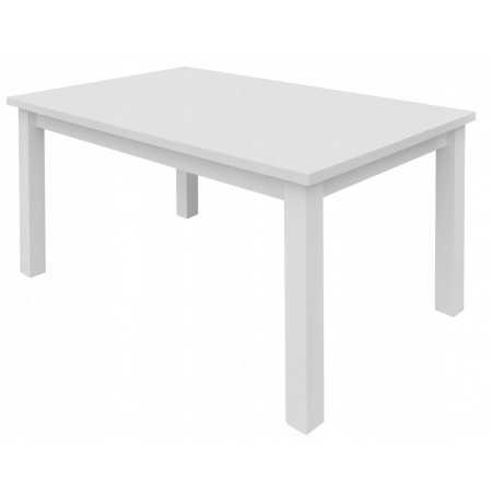 Stół nierozkładany 80x120 Rico 4 biały mat